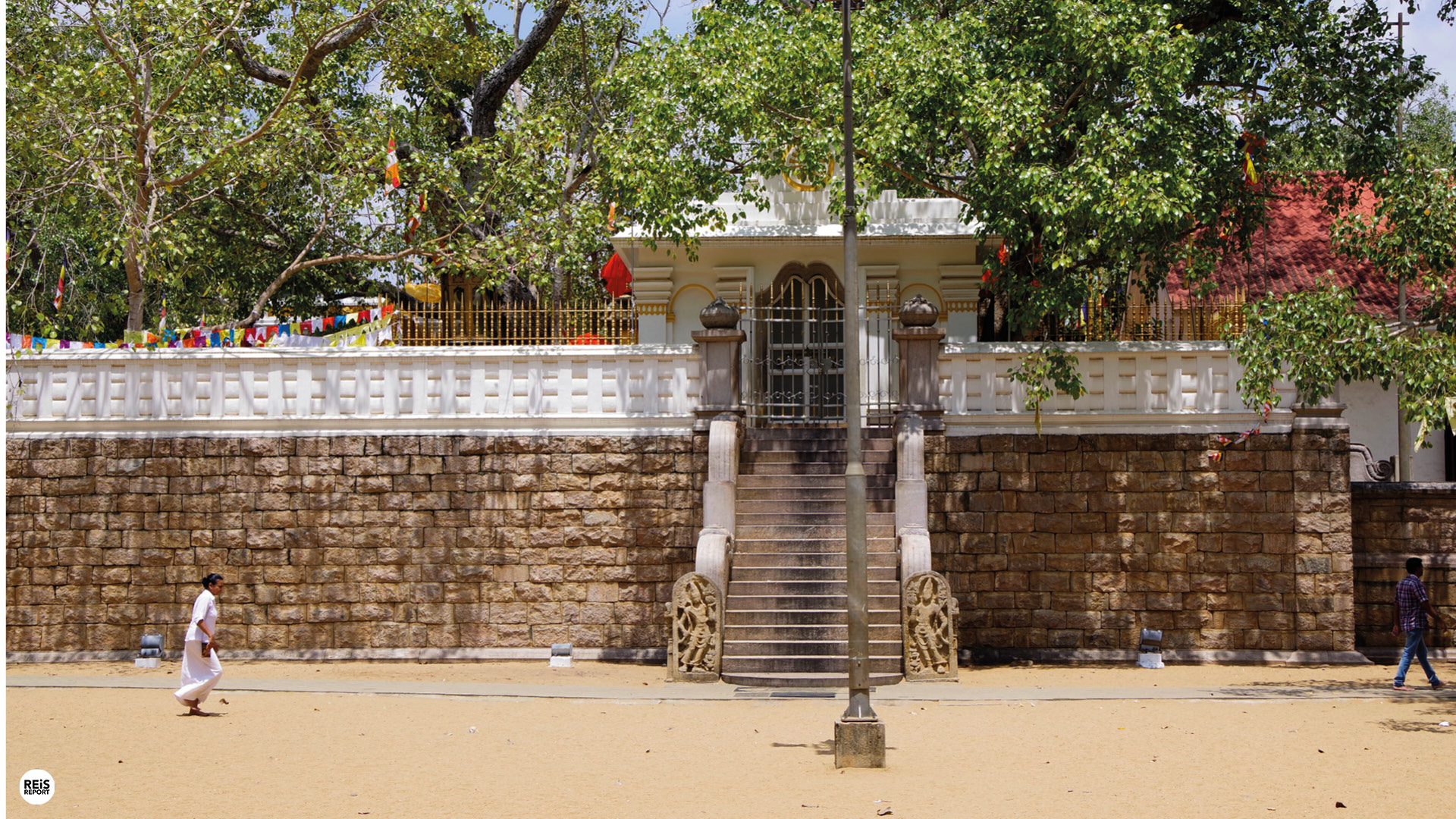 Anuradhapura heilige boom