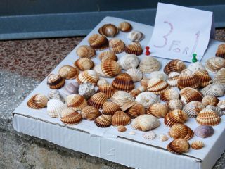 herceg novi montenegro