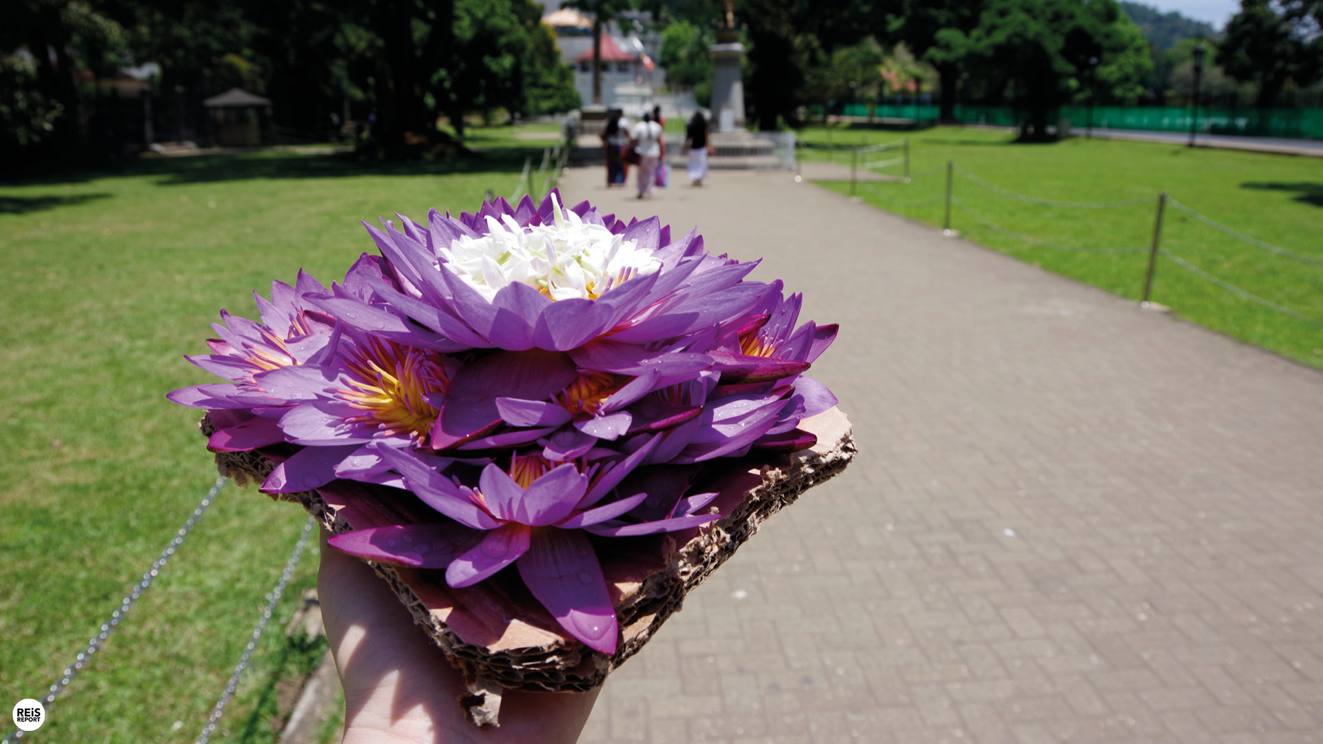kandy tempel van de tand