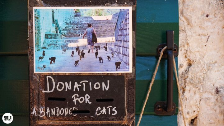 kotor te doen hoogtepunten attracties 