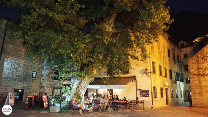 kotor te doen hoogtepunten attracties 