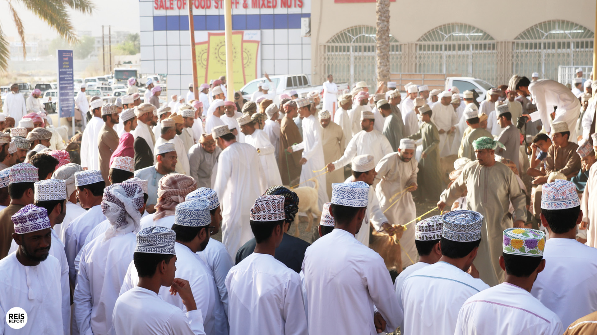 nizwa geitenmarkt oman