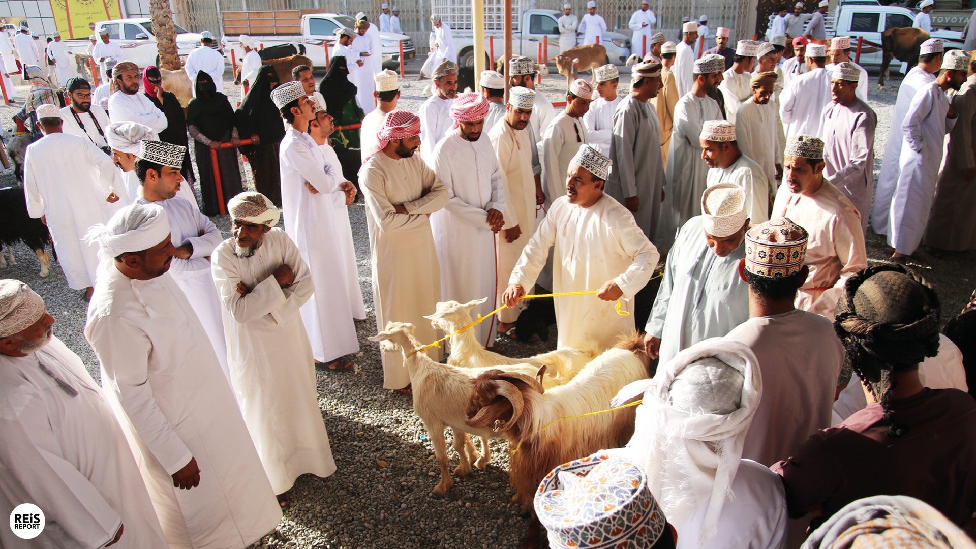 nizwa geitenmarkt oman