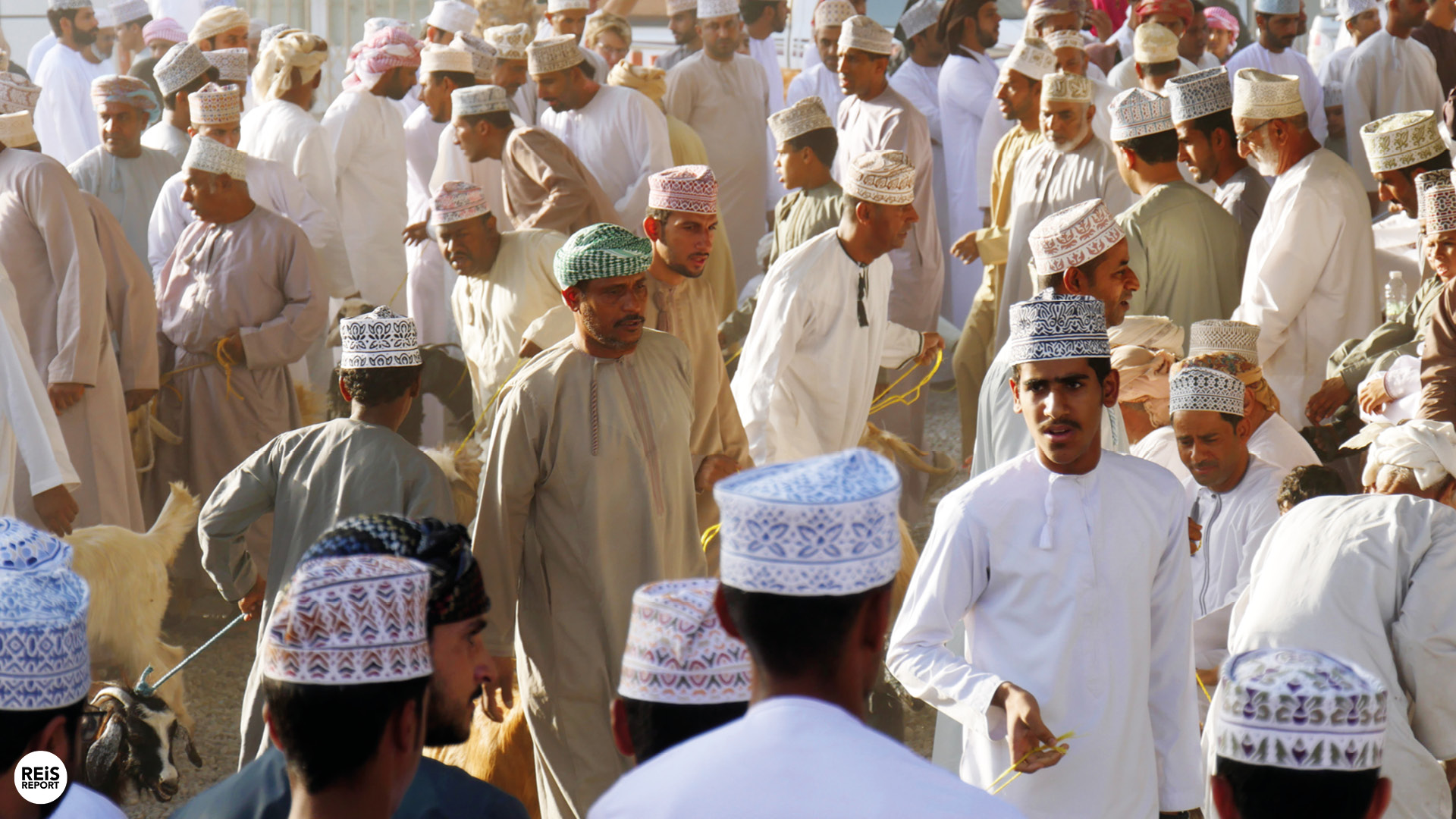 nizwa geitenmarkt oman