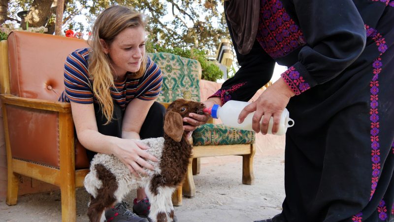 op de boerderij in jordanië