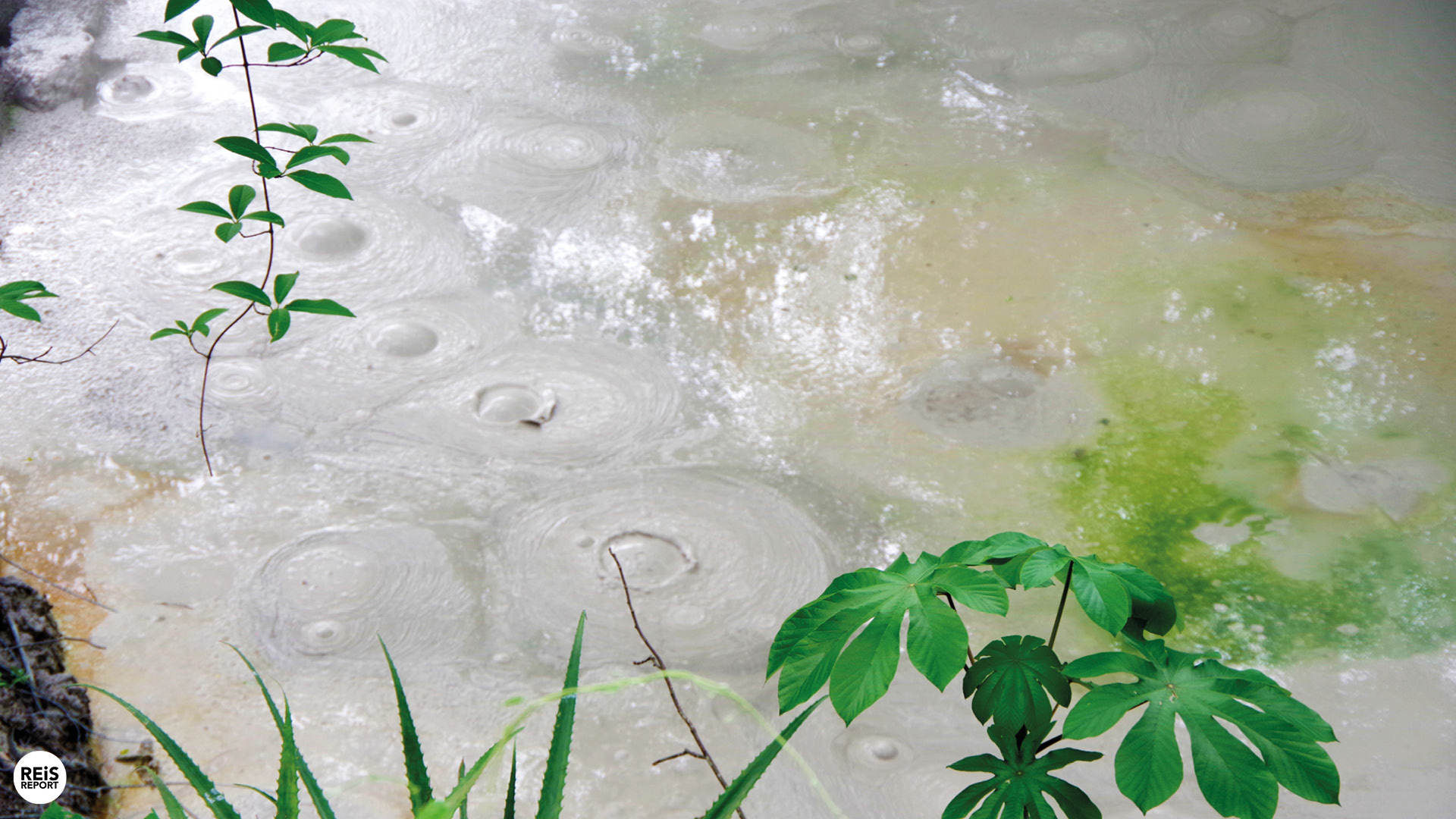 rincon de la vieja park