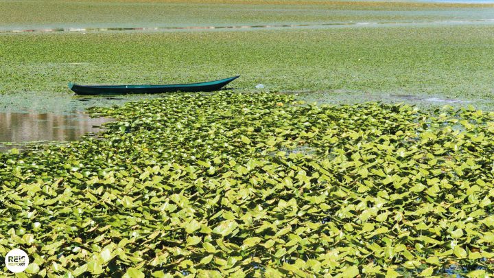 skadar meer tour boot