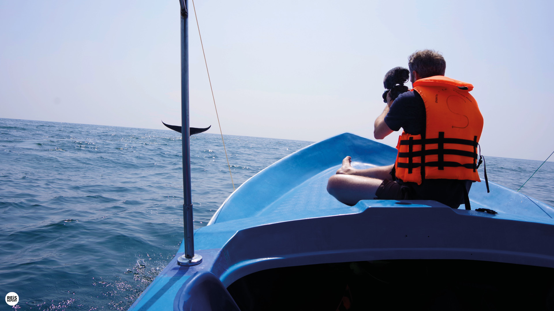 sri lanka walvissen spotten