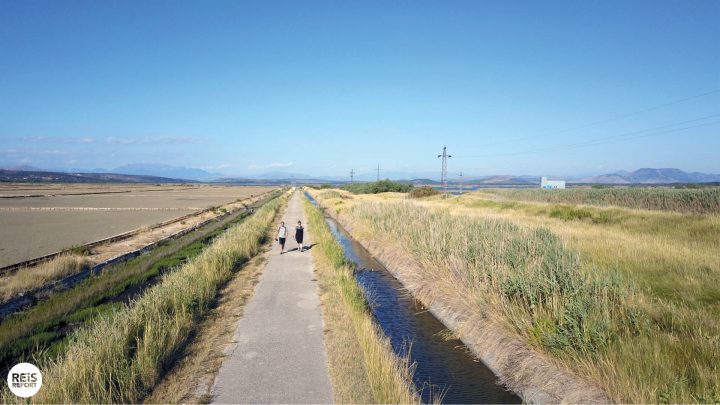 ulcinj salinas flamingos