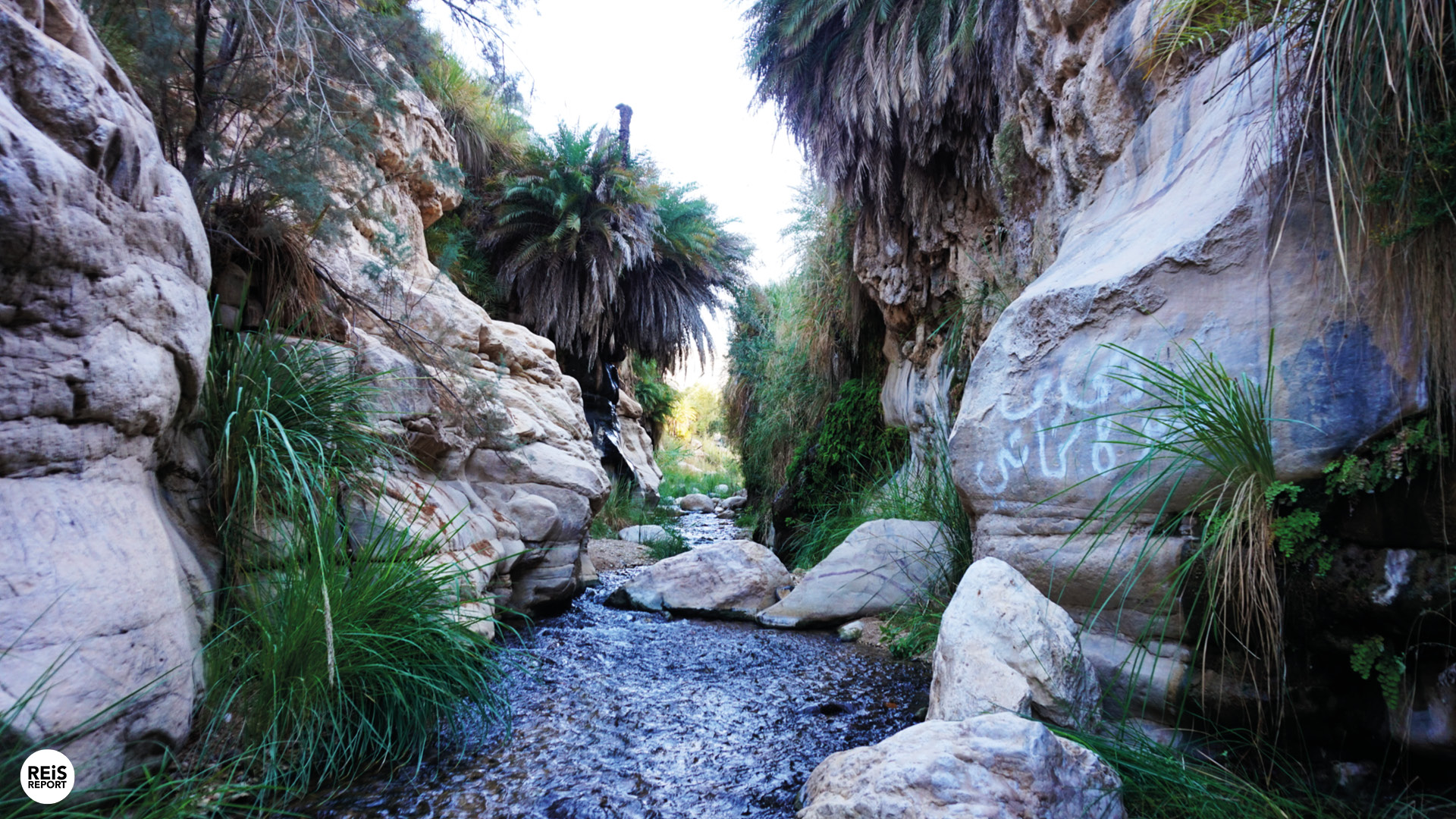 wadi bin hammad jordanie