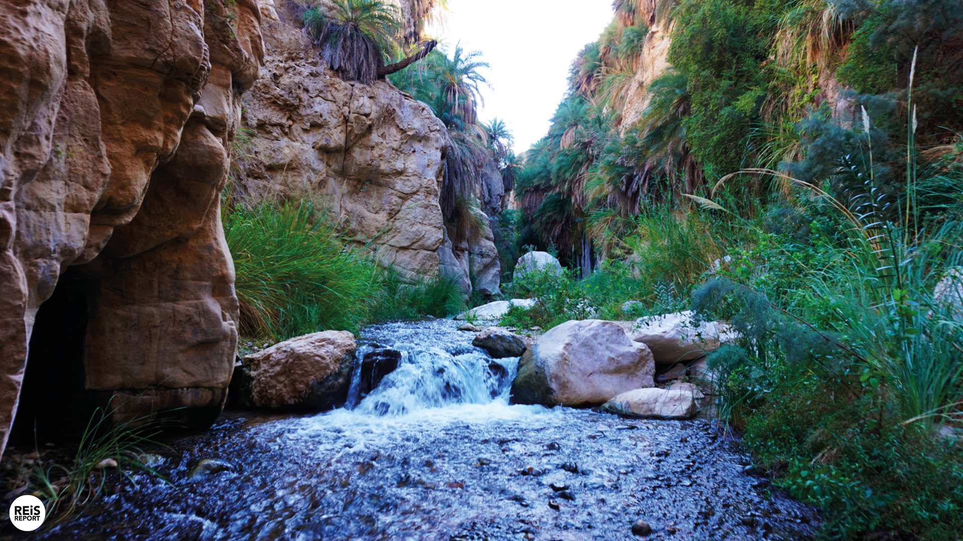 wadi bin hammad jordanie