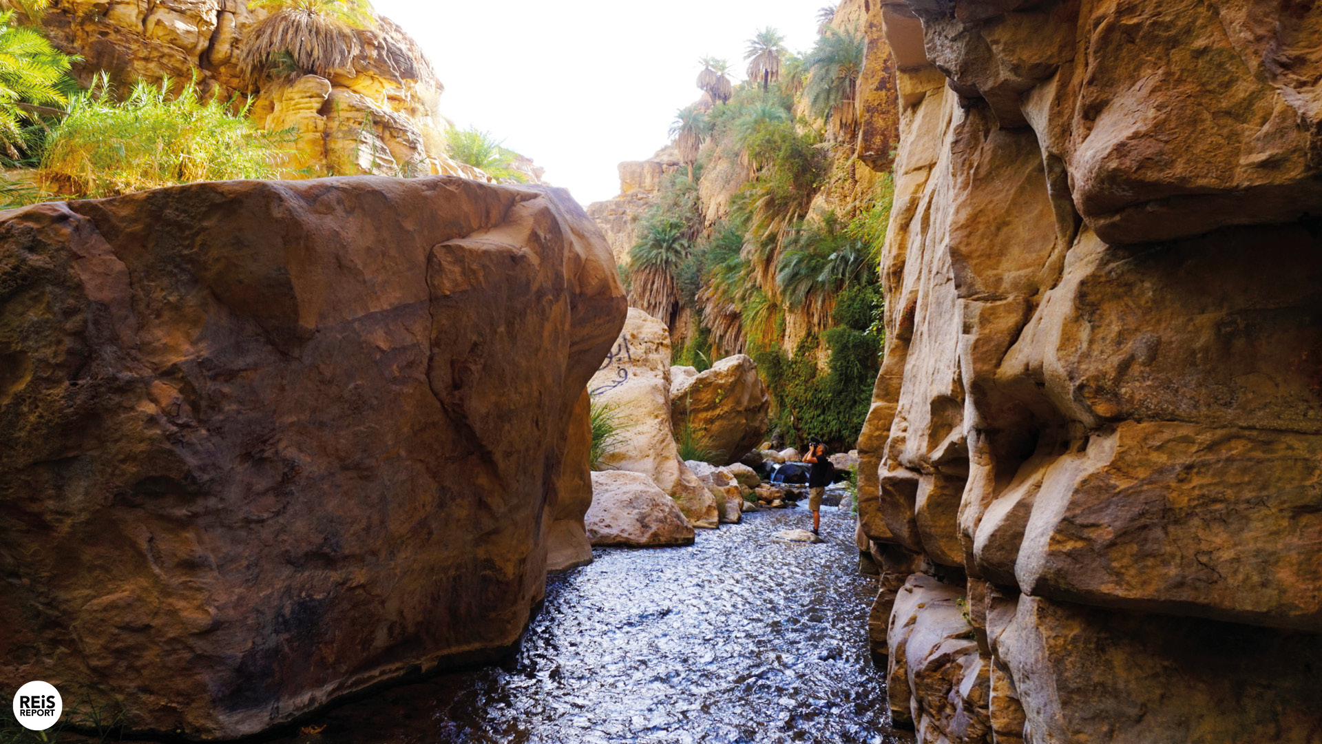 wadi bin hammad jordanie