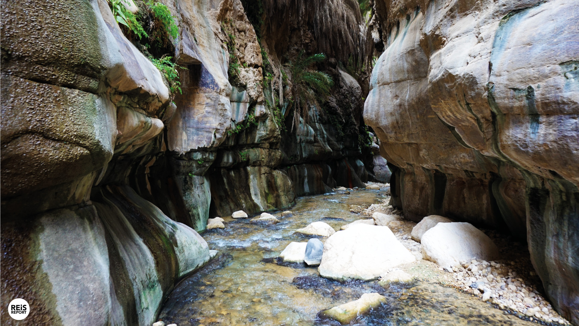 wadi bin hammad jordanie