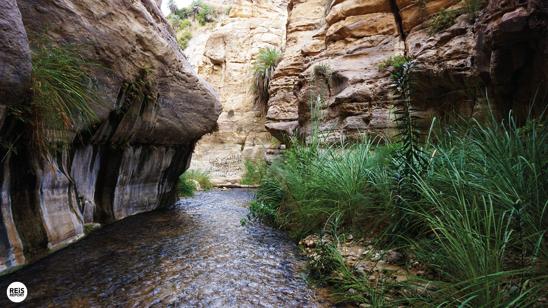 wadi bin hammad jordanie