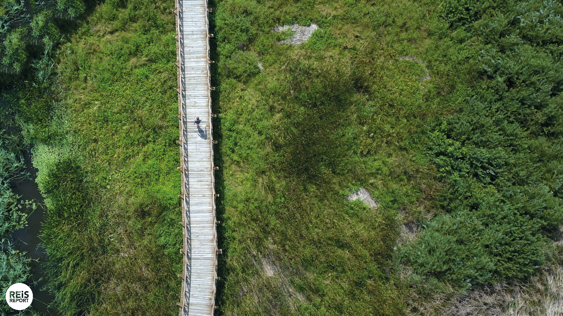 Kopački Rit kroatie natuurpark