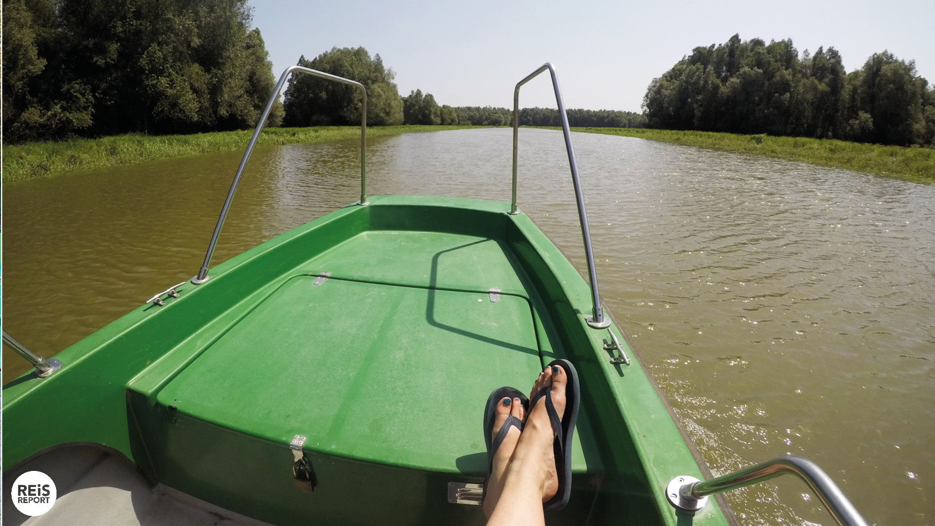 Kopački Rit kroatie natuurpark