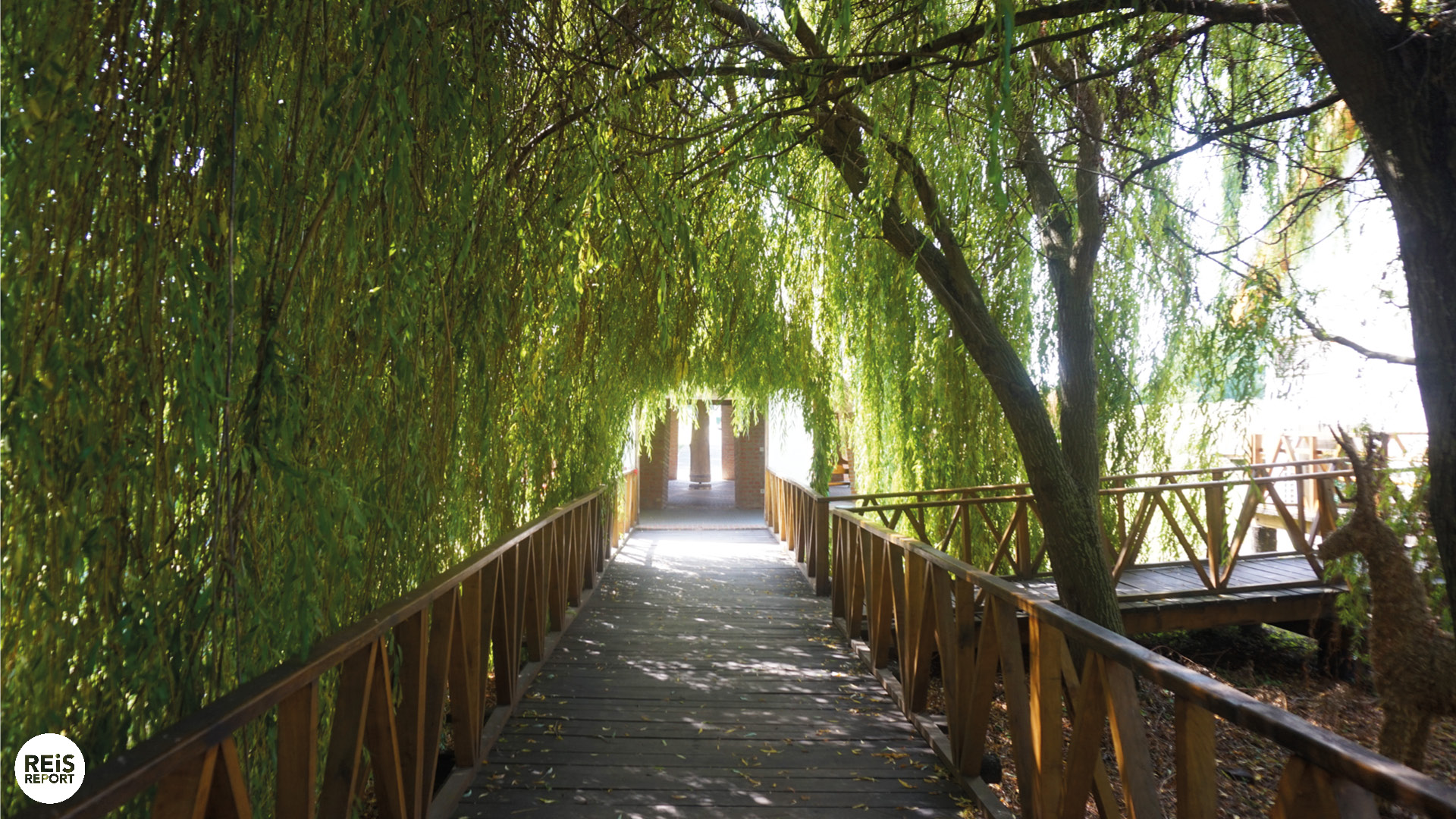 Kopački Rit kroatie natuurpark