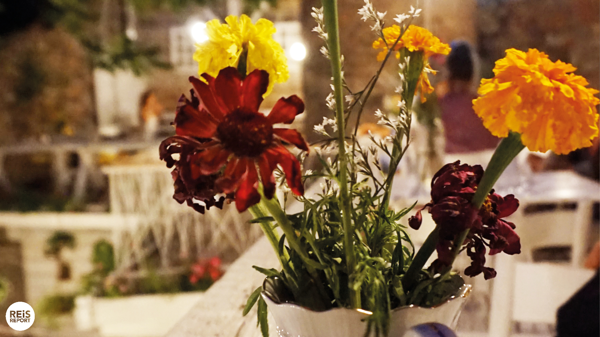 belgrado restaurant tip jazz basta