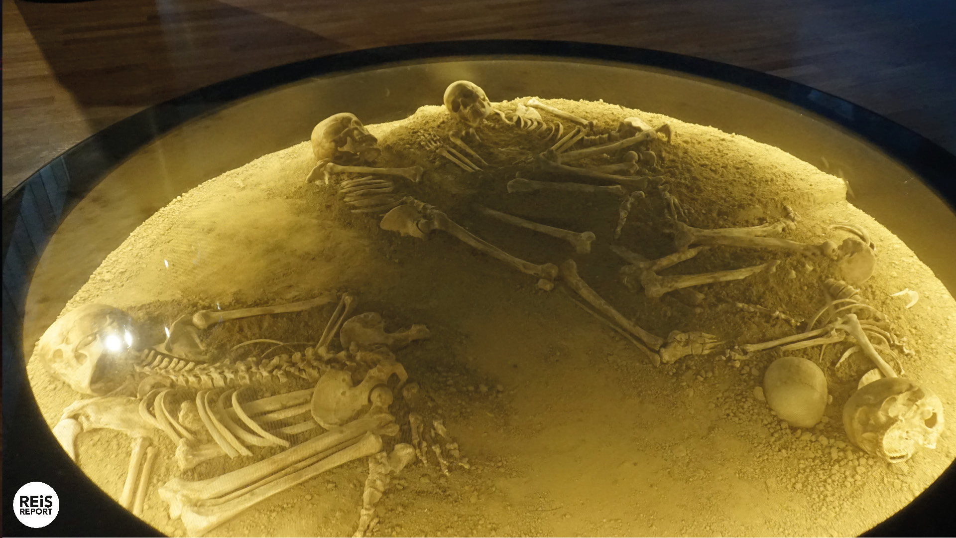 museum kroatie vučedolske kulture