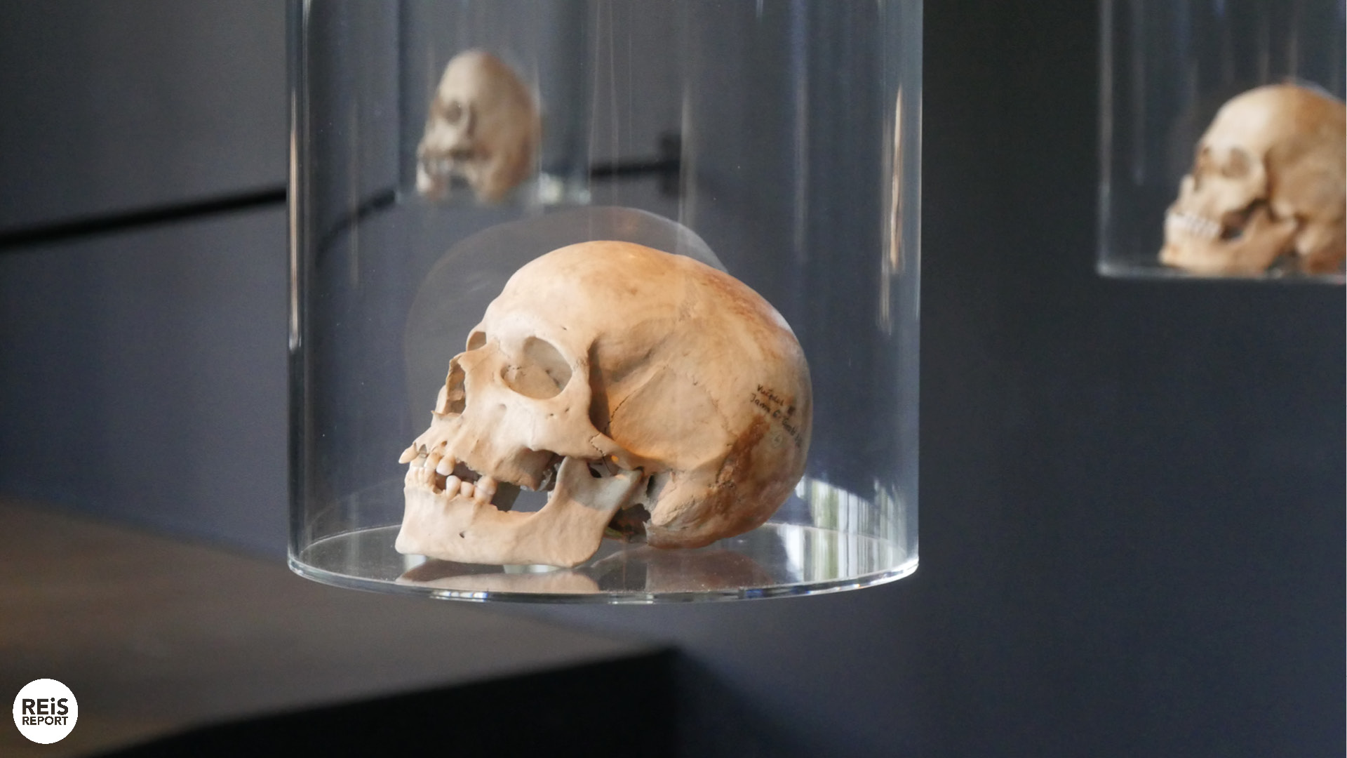 museum kroatie vučedolske kulture