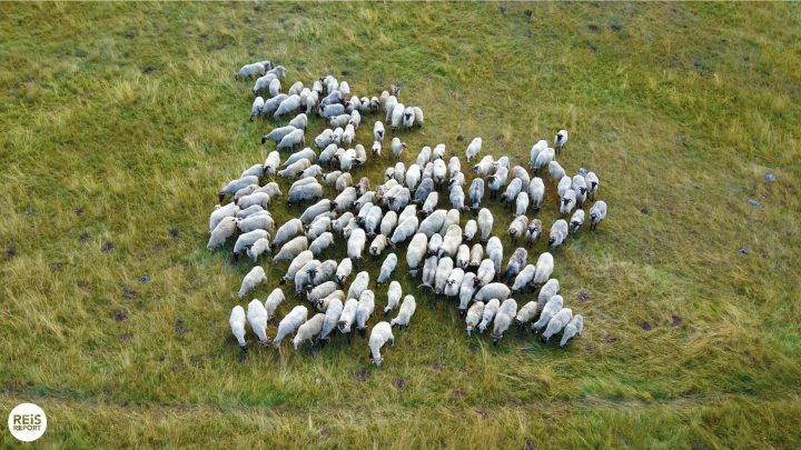 nationaal park durmitor