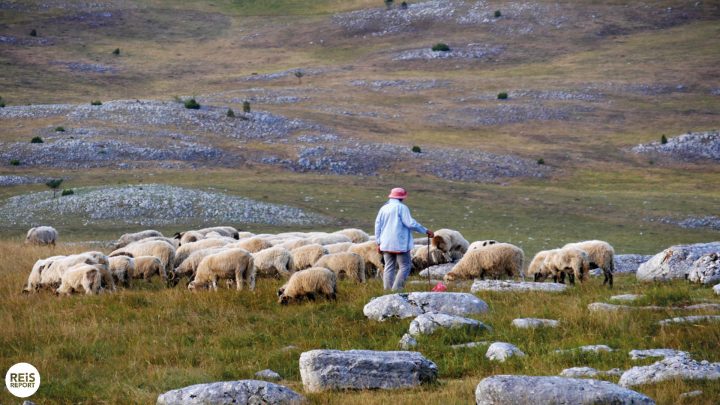 nationaal park durmitor