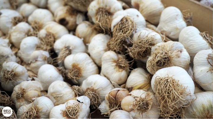 zadar bezienswaardigheden te doen