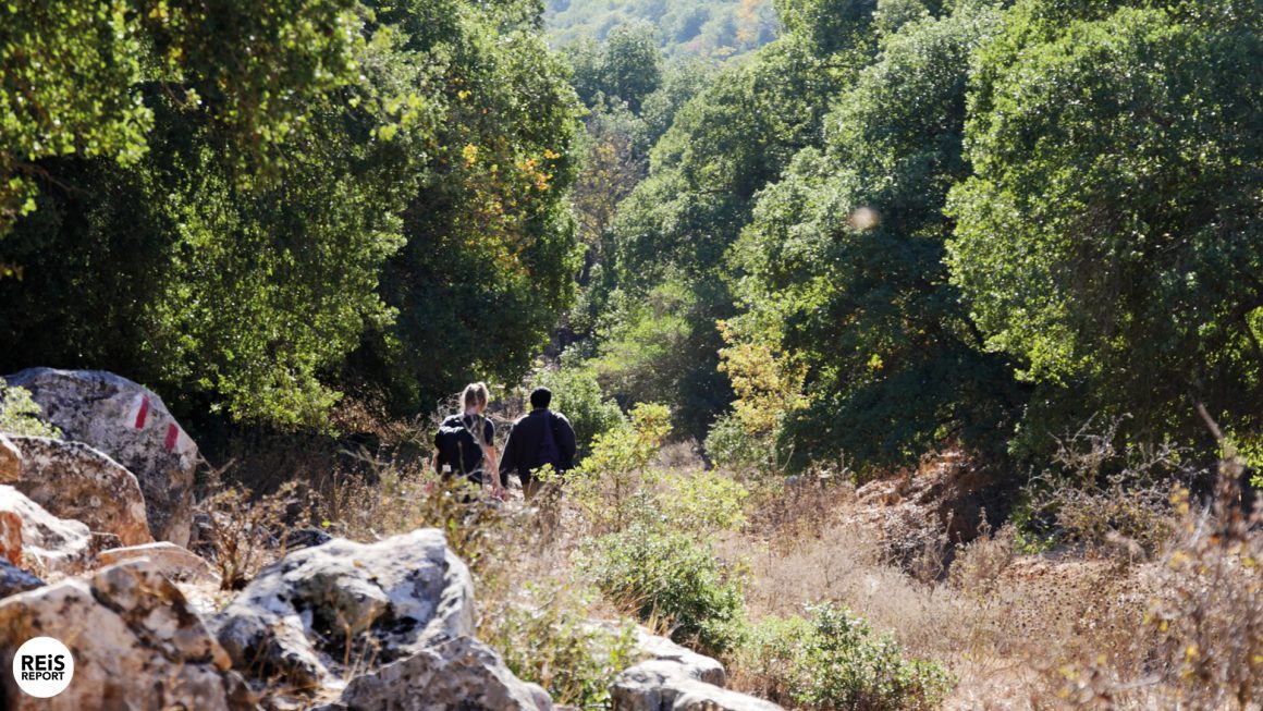ajlun jordan hiking trail 