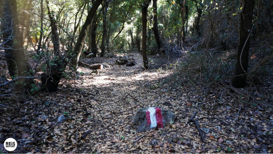 ajlun jordan hiking trail