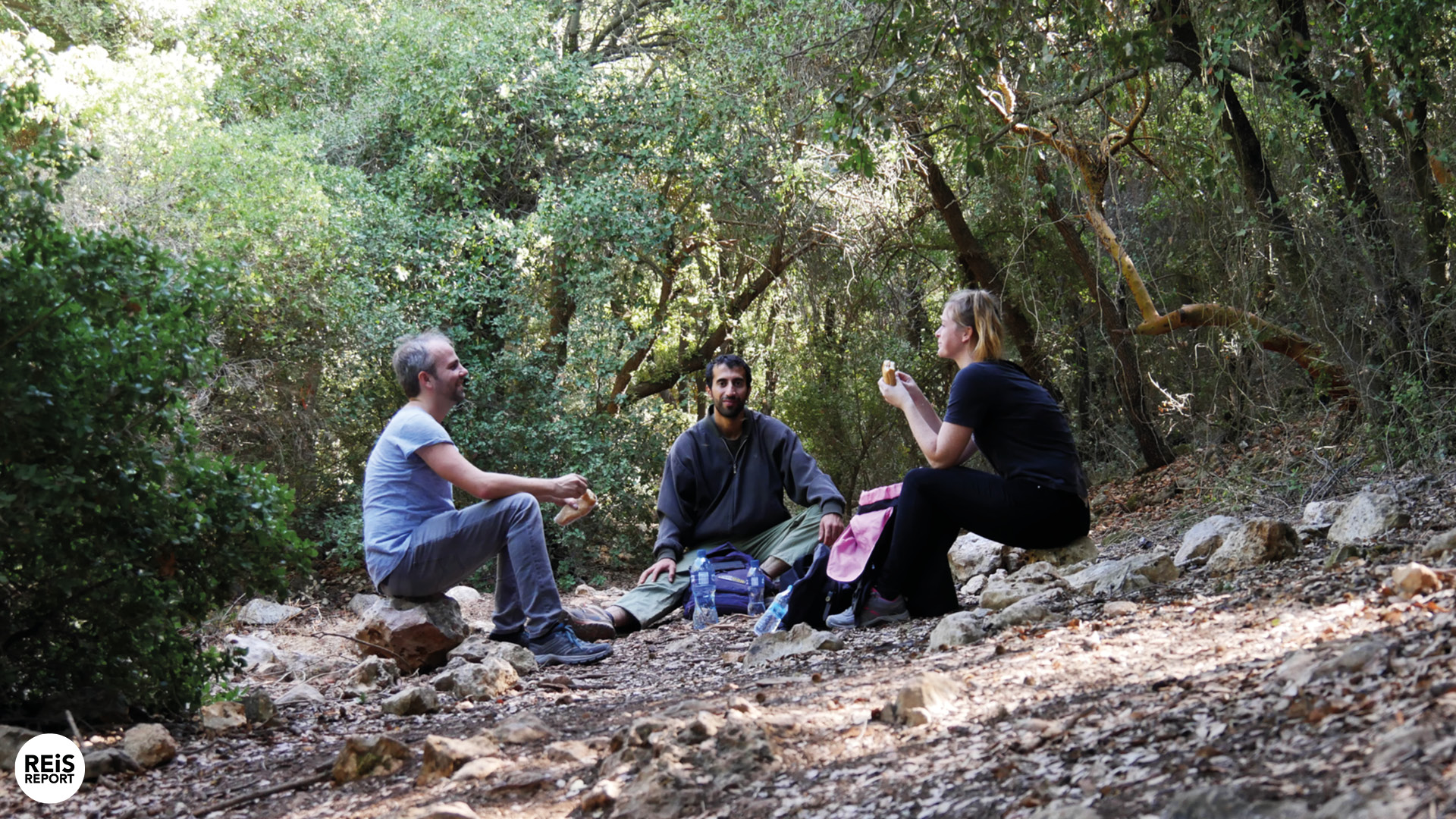 ajlun jordan hiking trail