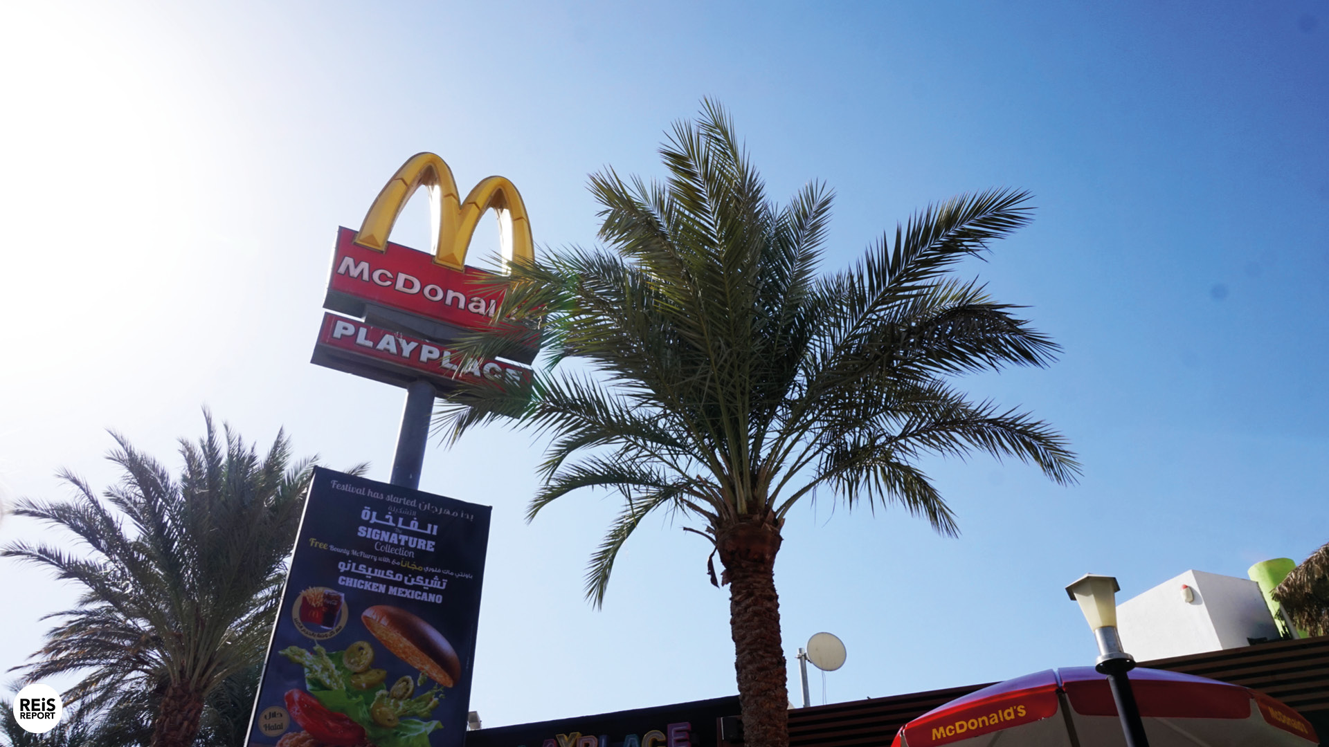aqaba jordanie duiken snorkelen
