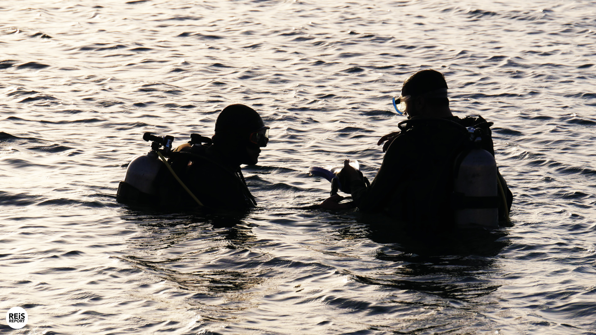 aqaba jordanie duiken snorkelen