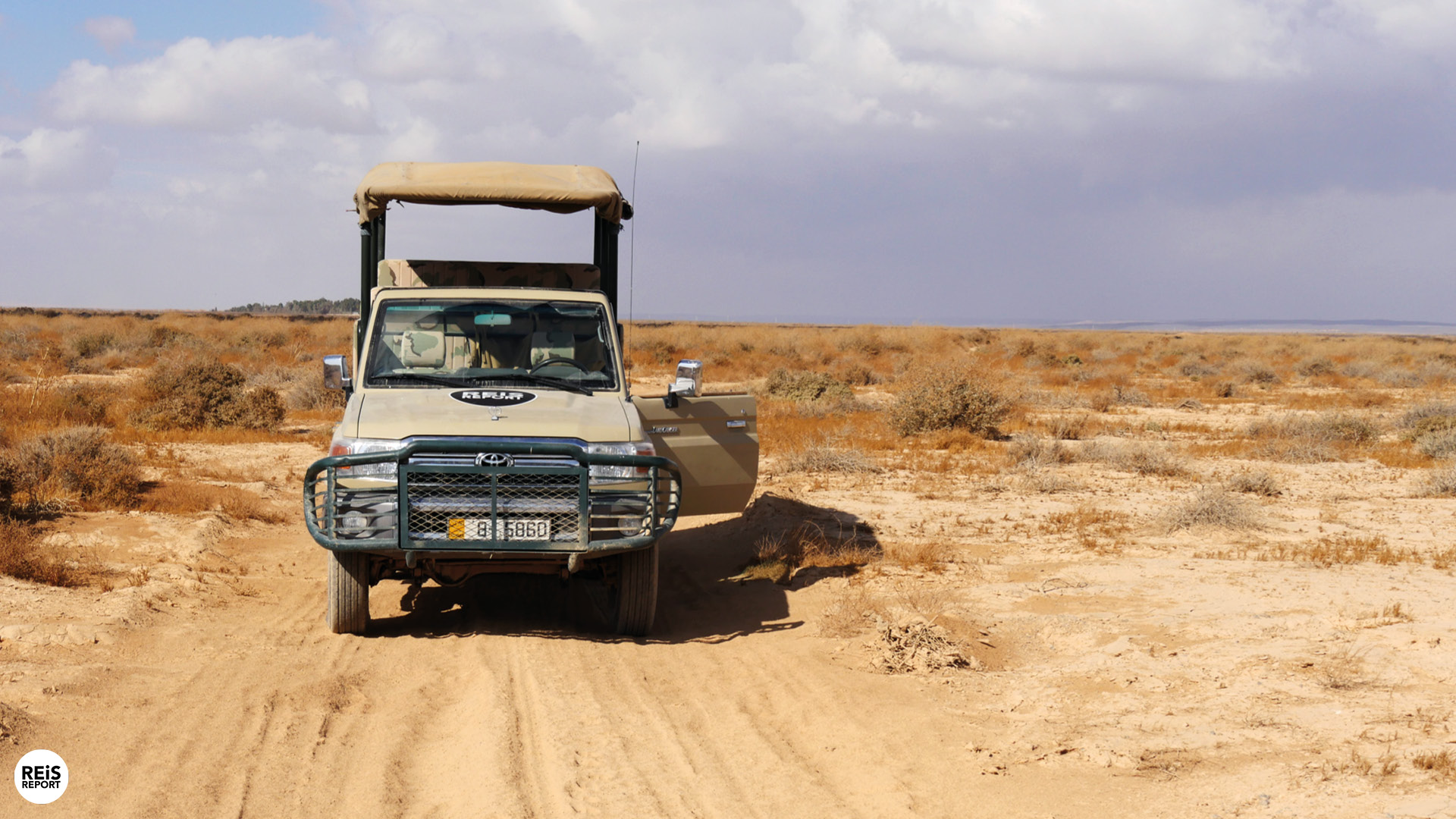 azraq wetland reserve jordanie