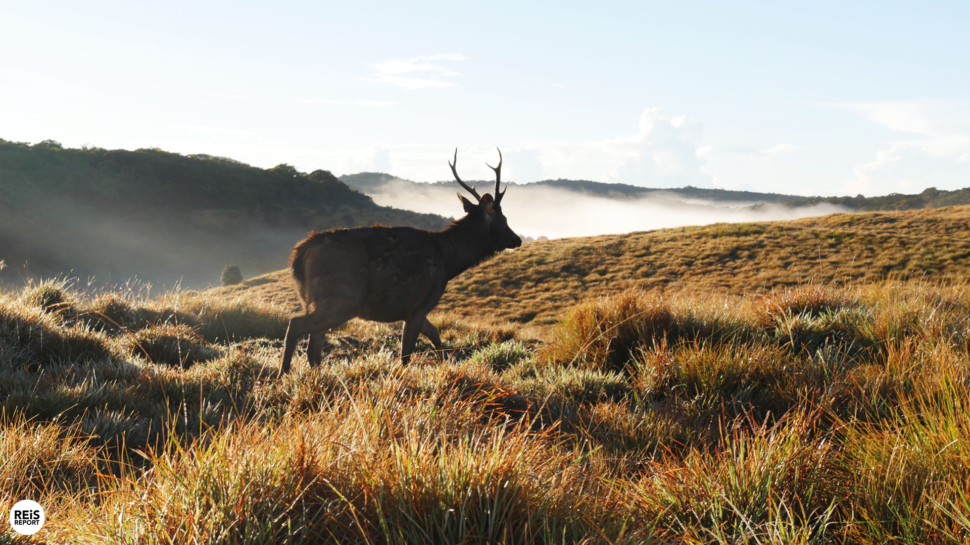 horton plains world end sri lanka wandeling