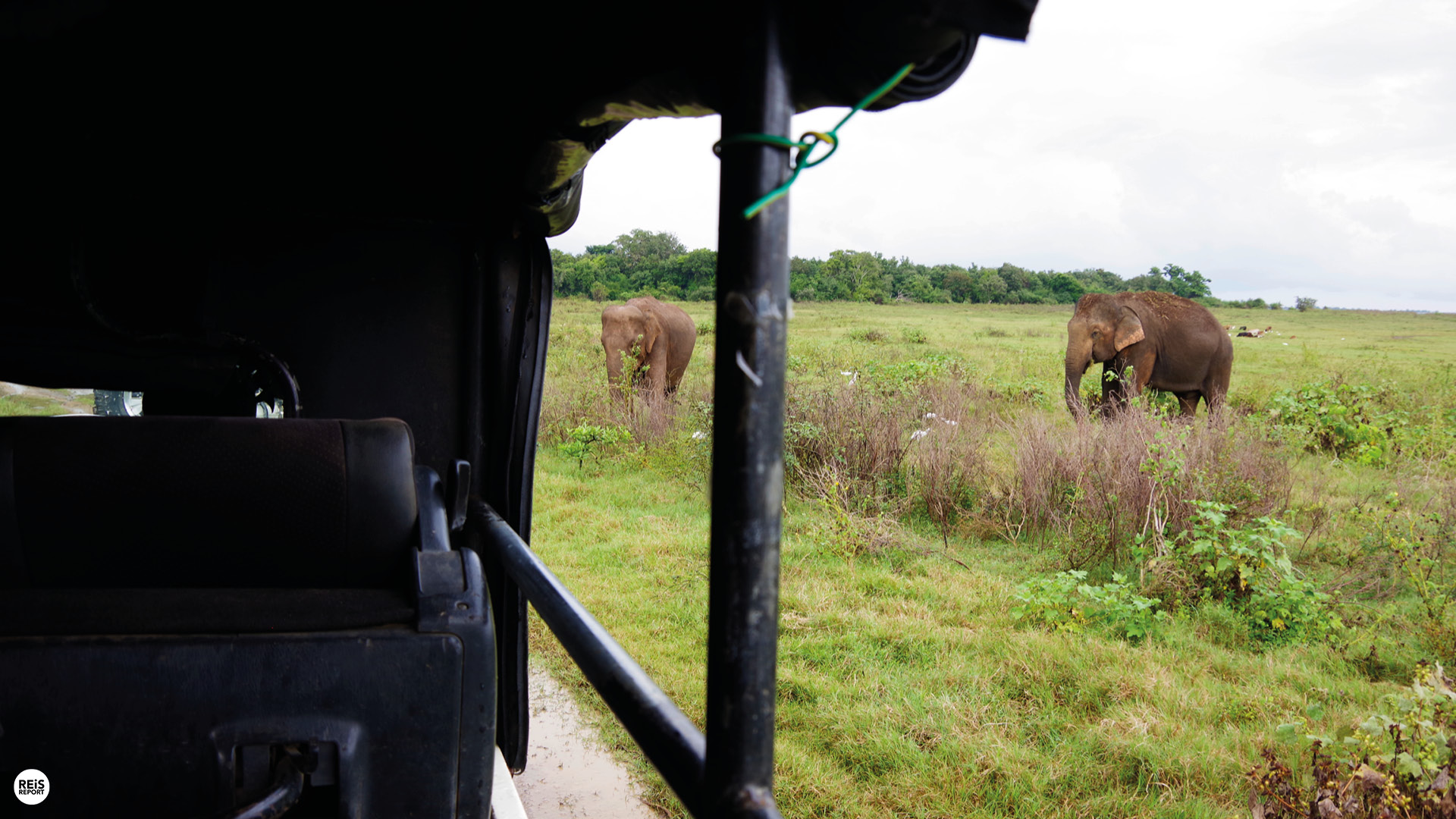 kaudulla nationaal park jeep safari sri lanka