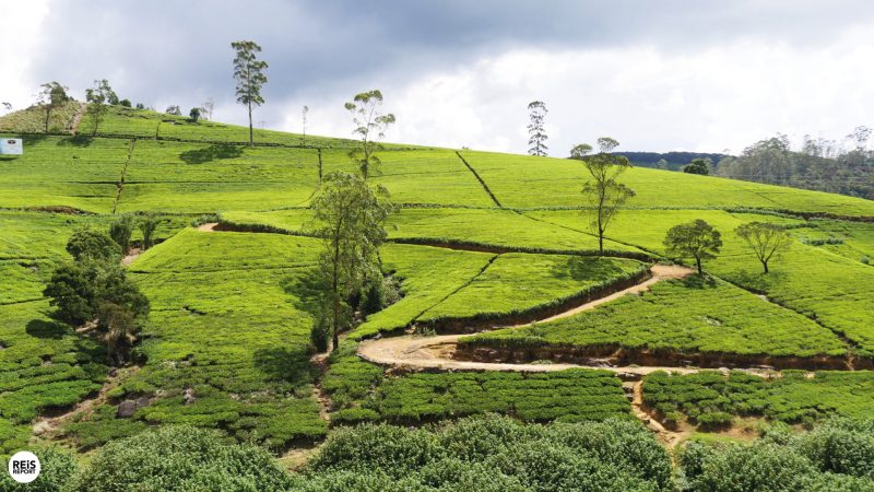 nuwara eliya bezienswaardigheden