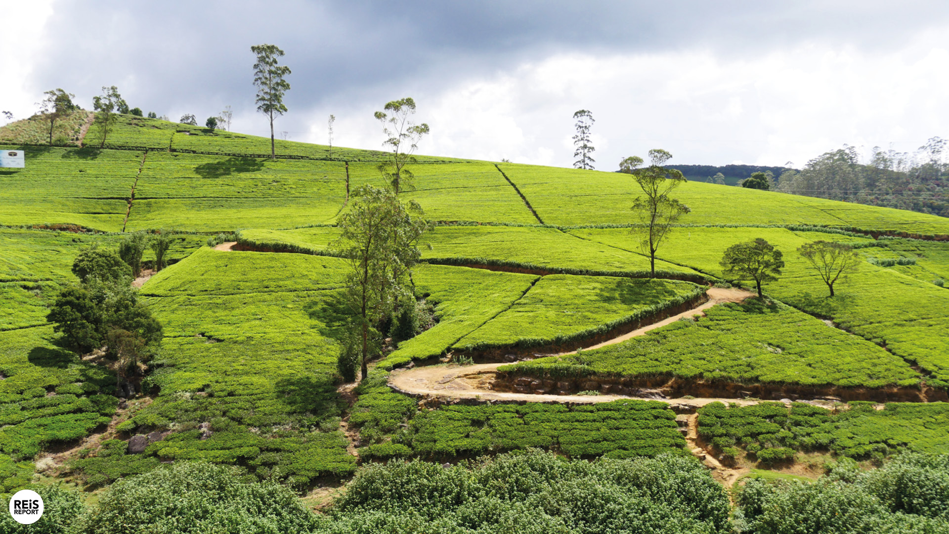 nuwara eliya bezienswaardigheden