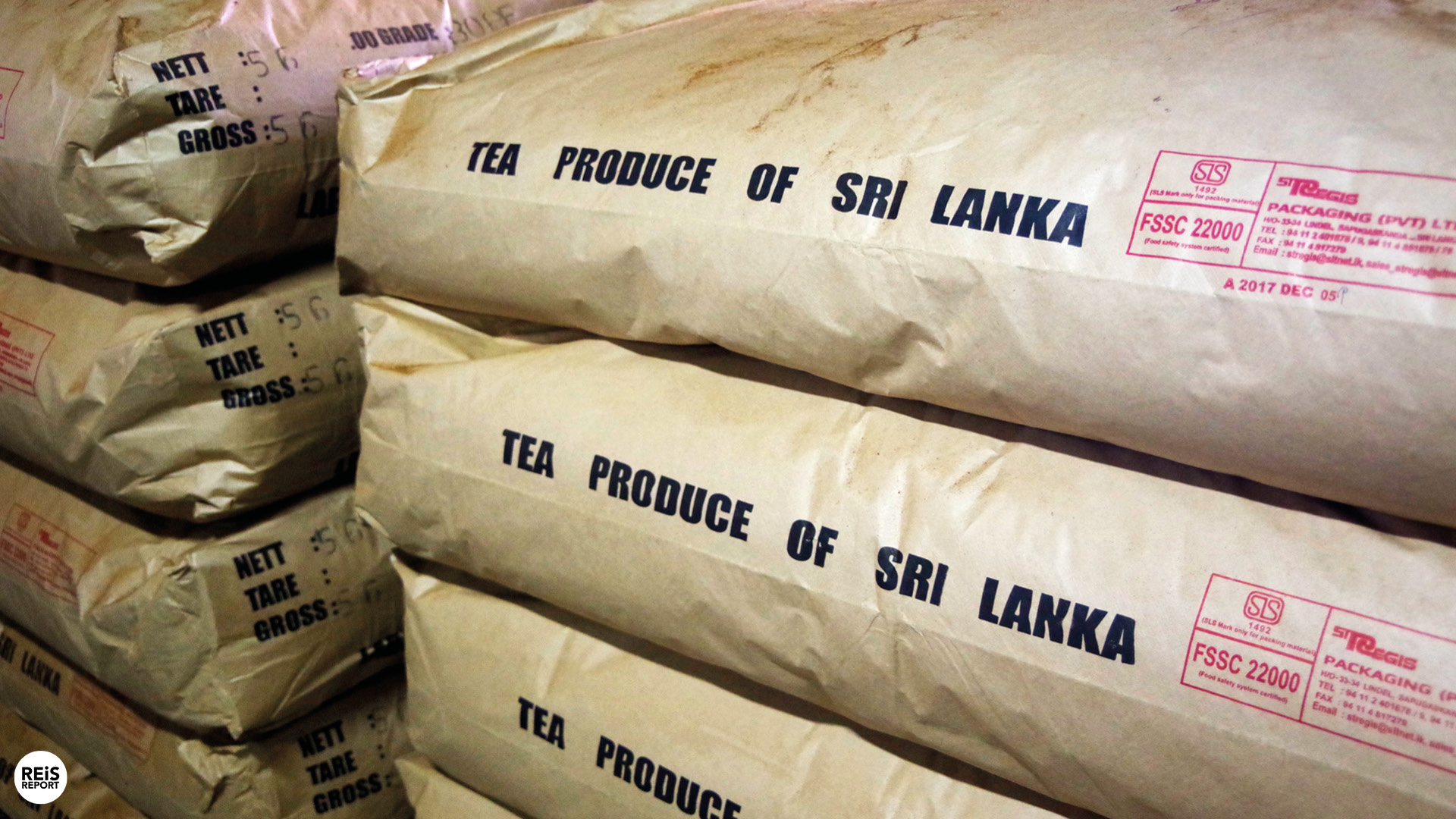 nuwara eliya theefabriek sri lanka