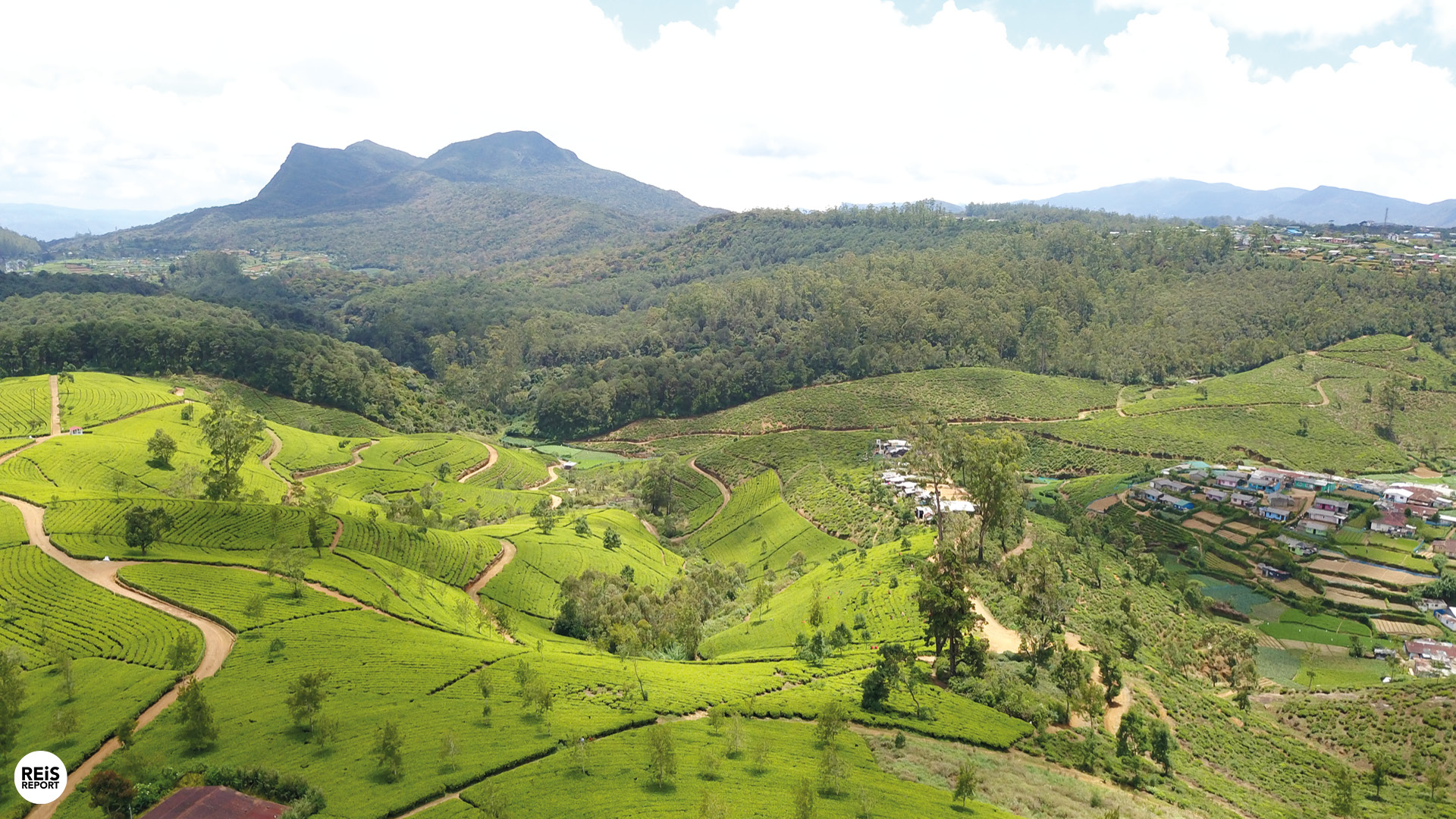 nuwara eliya wat te doen