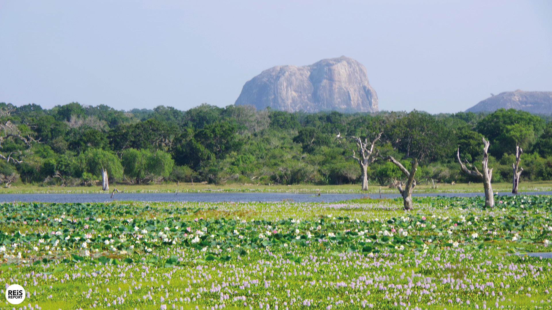 yala nationaal park sri lanka