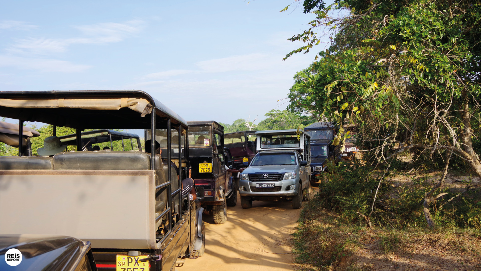 yala national park sri lanka tour