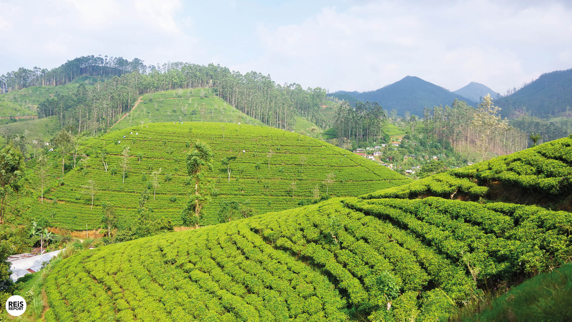 treinreis sri lanka foto's