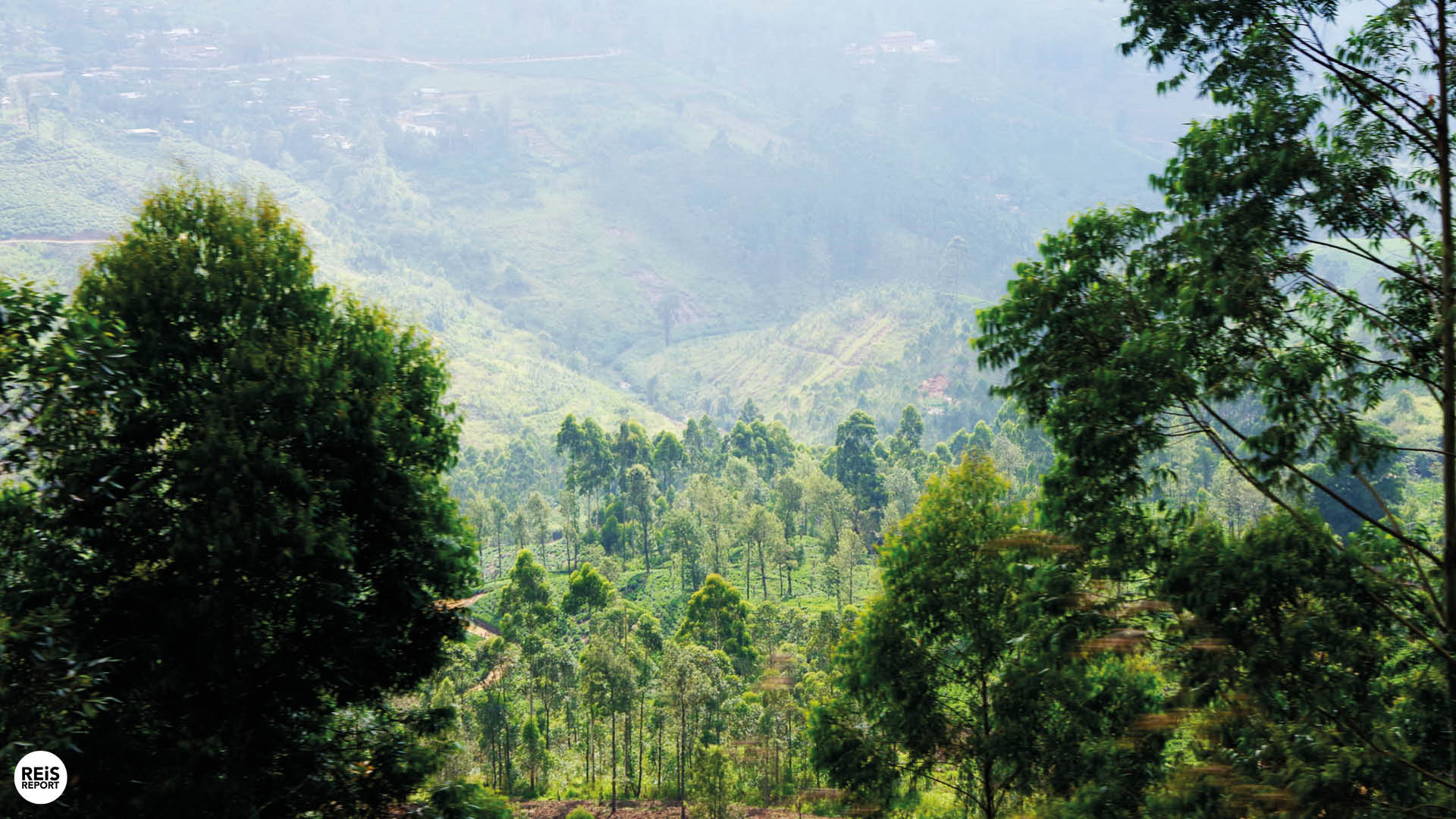 treinreis sri lanka foto's6
