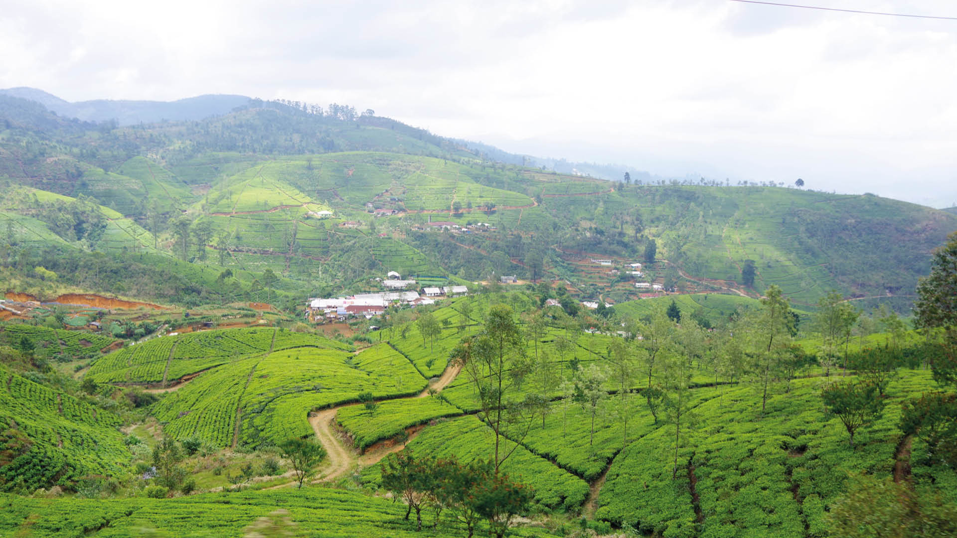 treinreis sri lanka foto's