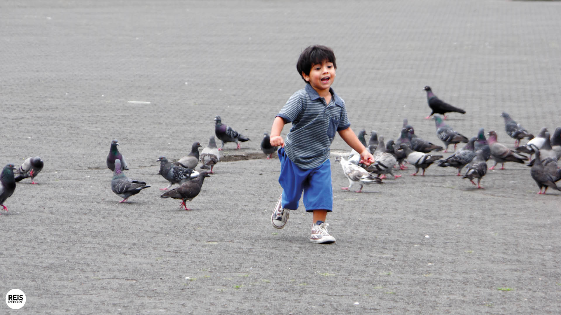 basiliek cartago costa rica
