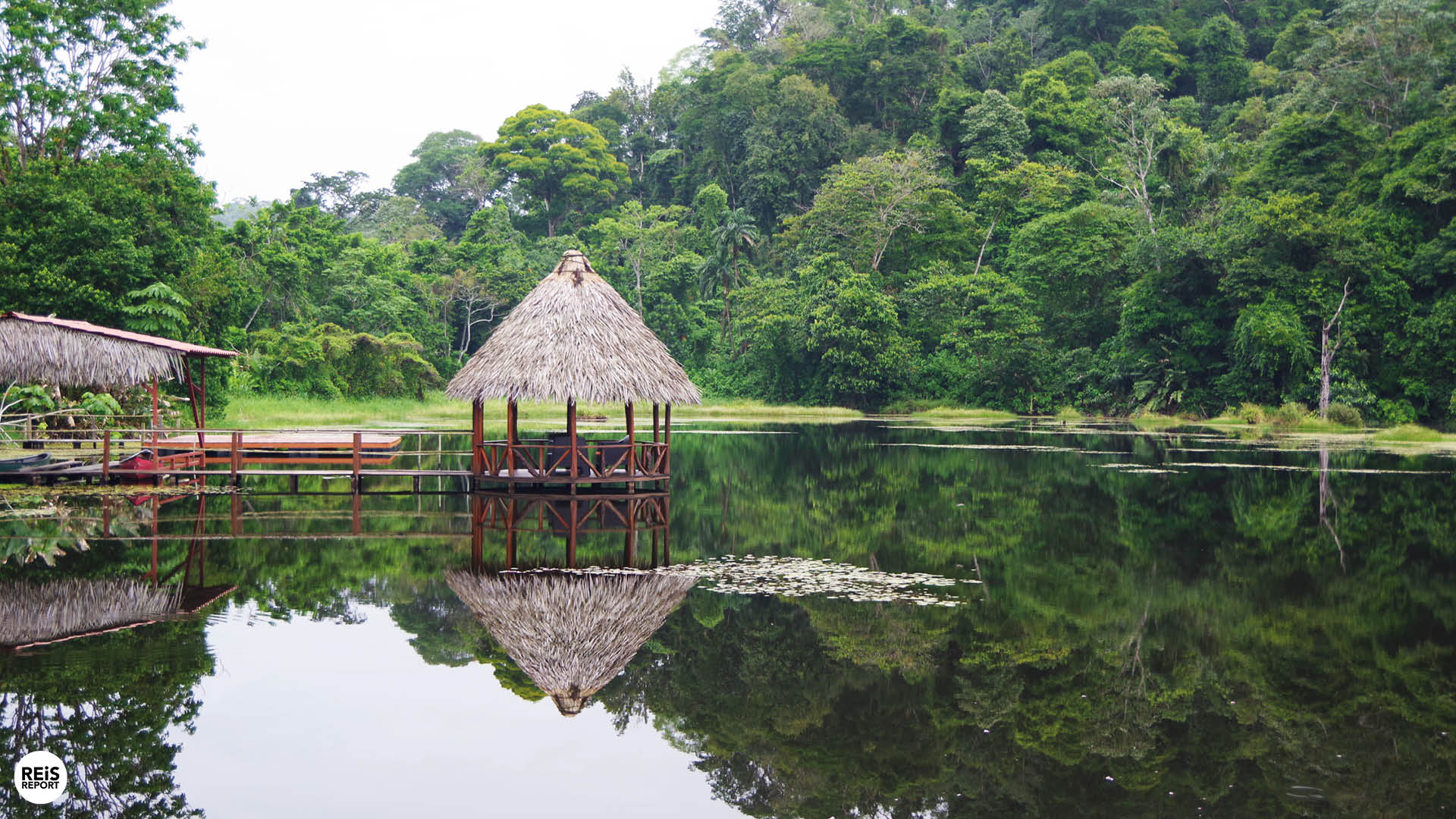 treehouse costa rica