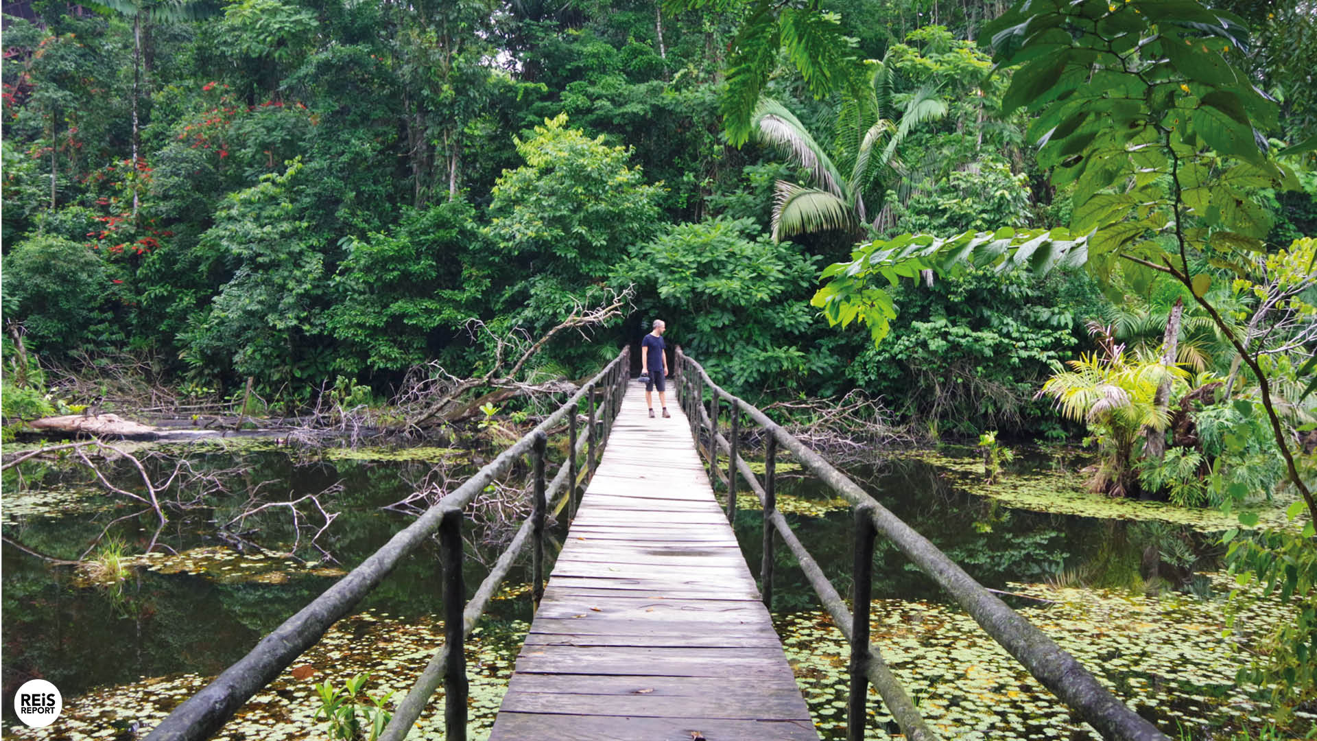 costa rica boomhut overnachten