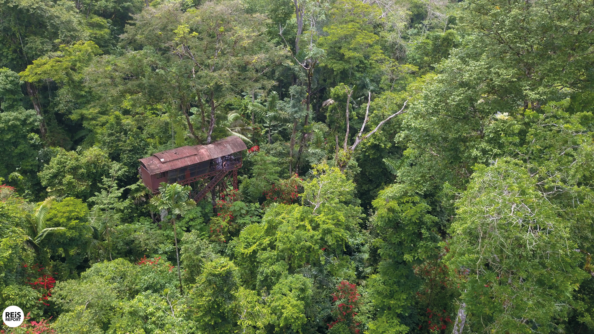 boomhut overnachten costa rica