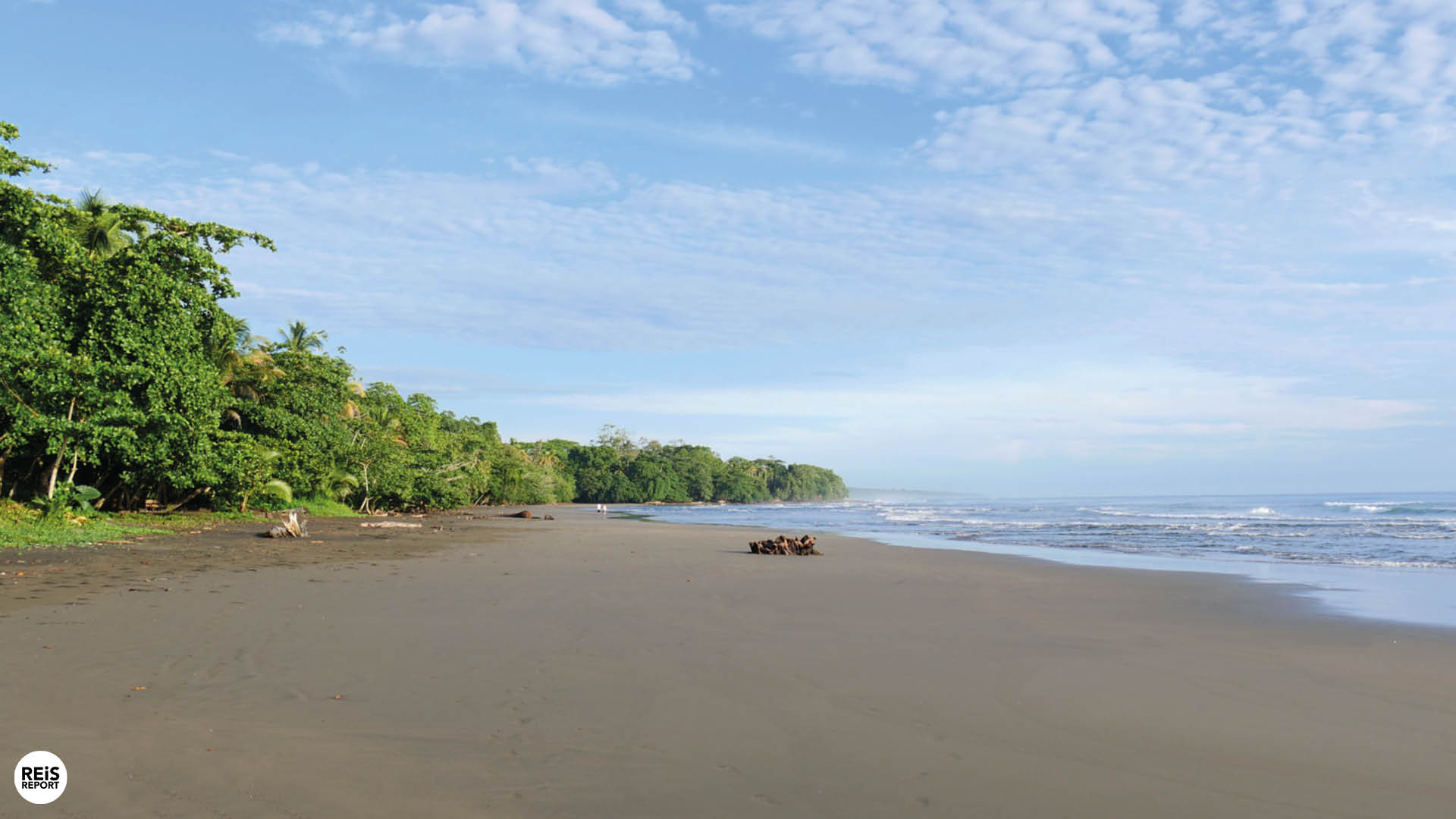 cahuita playa negra