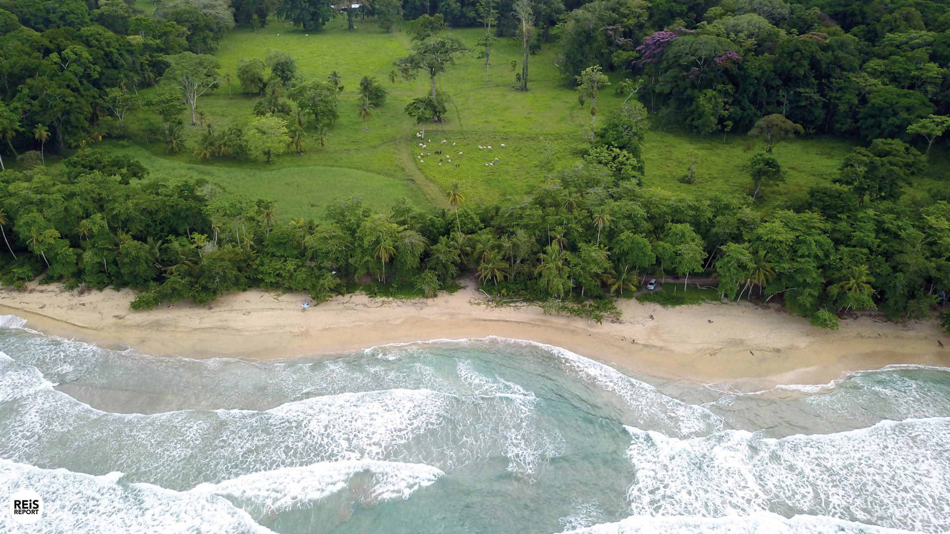 puerto viejo costa rica strand